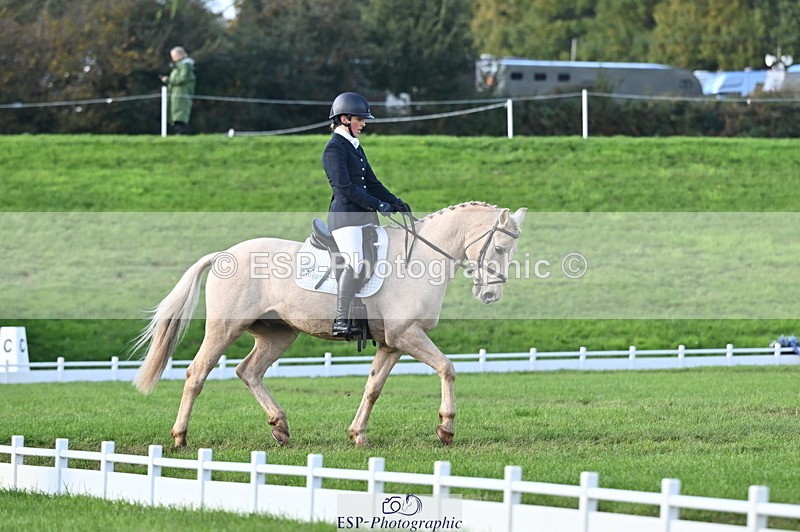 251024A-150831-13954 - E-395-Rolline.OCallaghan