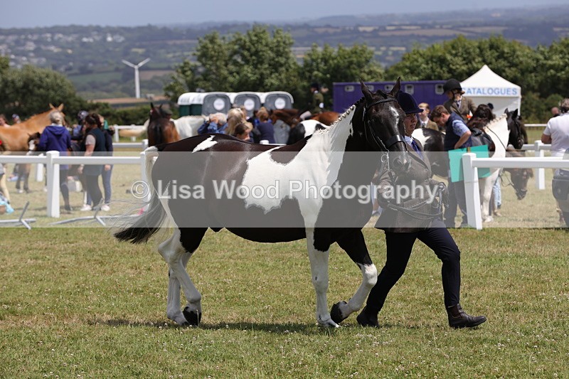 1X9A4815 - Class 35: Veteran In Hand