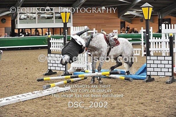 DSC_2002 - Leo