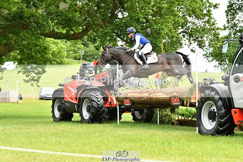 250525A-121619-16630 - D-409-Kirsty.Chabert-HERALDIKS.GIRL.OPPOSITION