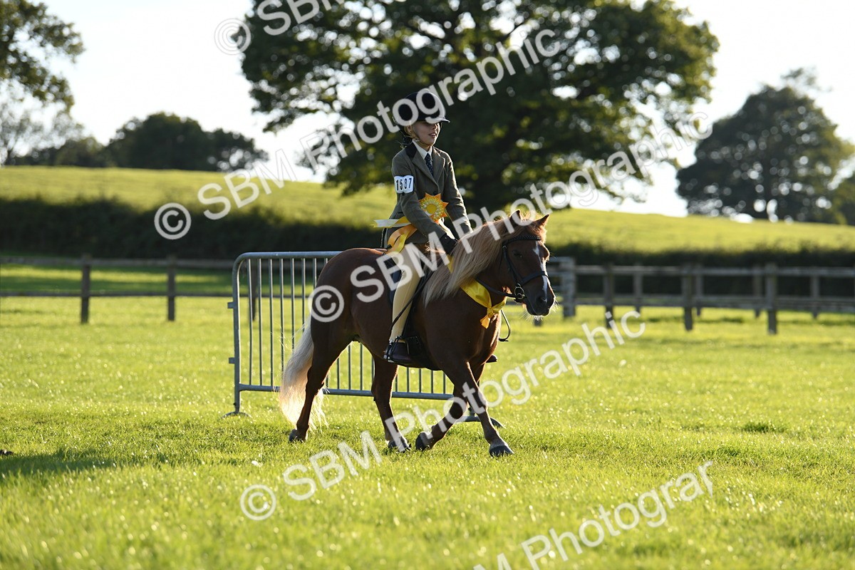 SBM_54199 - S23 - 1st Ridden Mountain & Moorland Pony