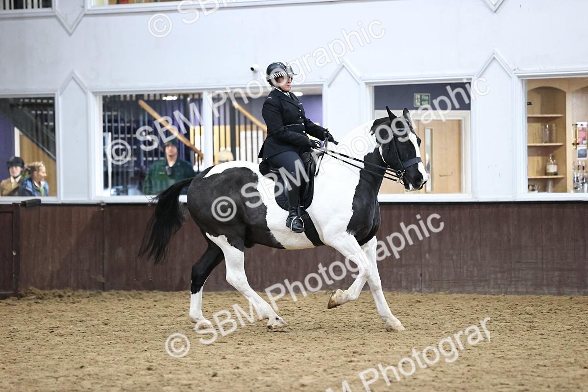 SBM_6369 - Class 45-42 - Ridden Irish Breeds-Ridden Cob