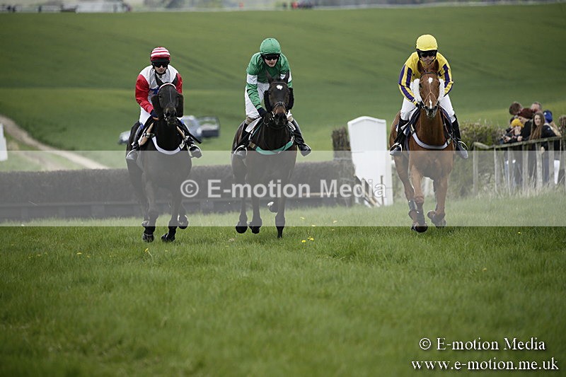 PtP 170417 5 - Old Berks Point-to-Point Lockinge 17/04/17