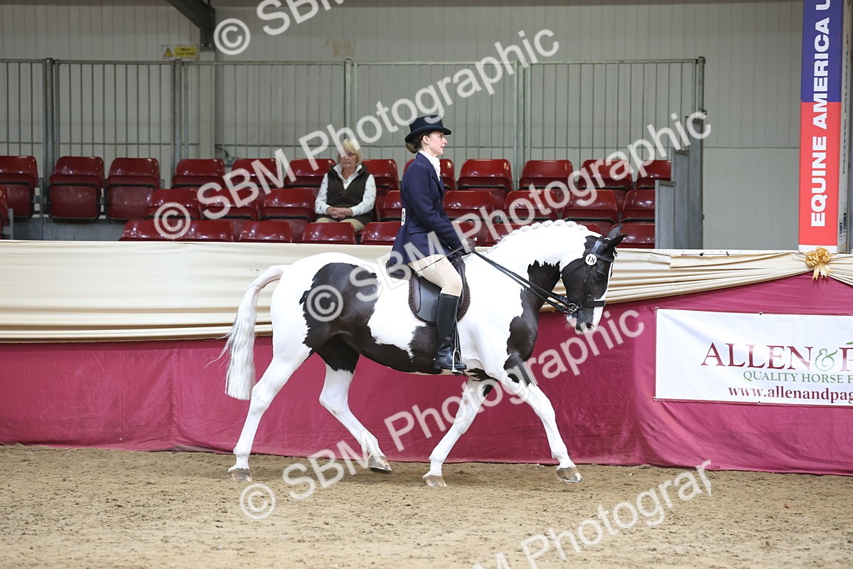 SBM_23686 - class 906 - Supreme Final - Ridden Pre Vet