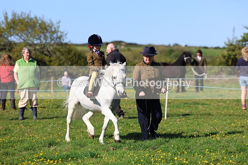 3E7A8706 - Class 2: Lead rein