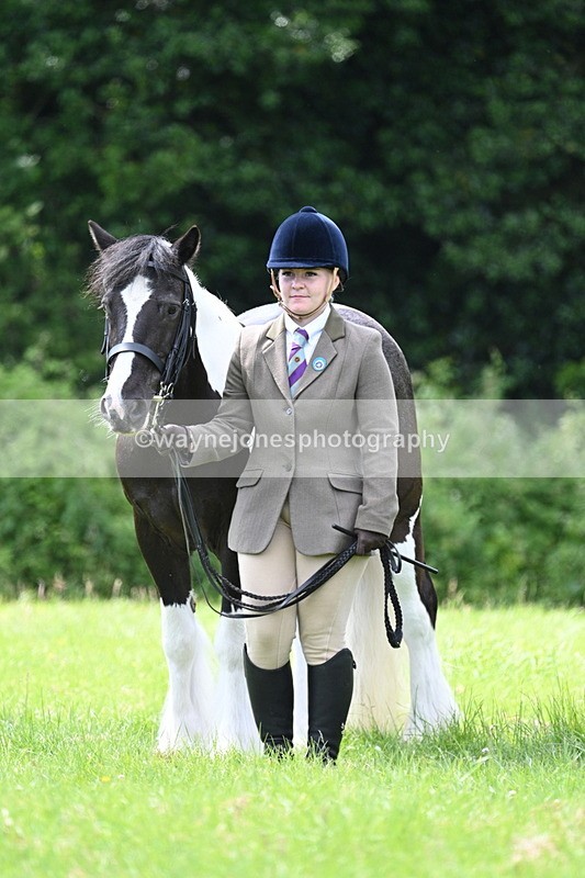 WJ7_1531 - Class 11 Condition & Turnout
