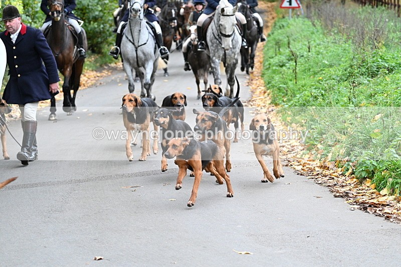 WJ7_7195 - Walk Home..