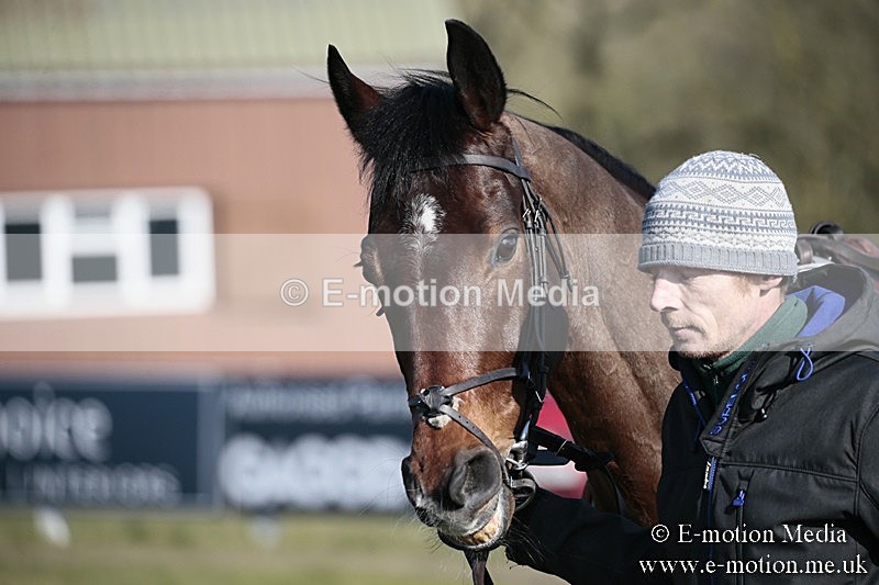 PtP 240218 310 - Vine & Craven Hunt Point-to-Point Barbury racecourse 24/02/18