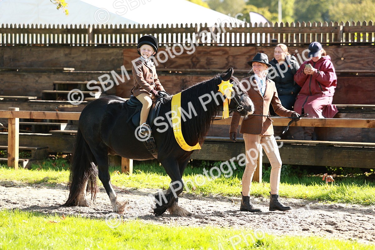 SBM_37499 - Fun Showing Supreme Championship