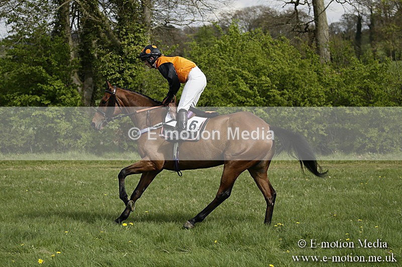 PtP 170417 261 - Old Berks Point-to-Point Lockinge 17/04/17