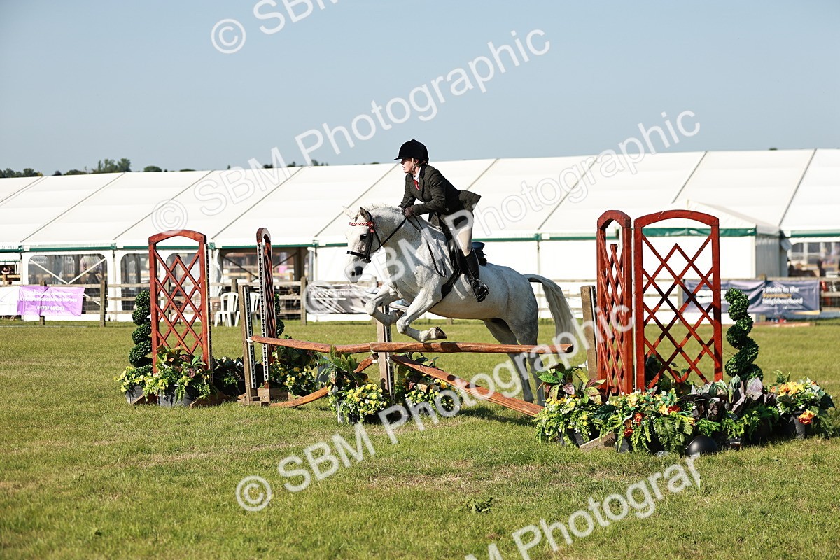 SBM_19205 - Class 115-116 - LIHS BSHA Rising Star Working Hunter & Show Horse