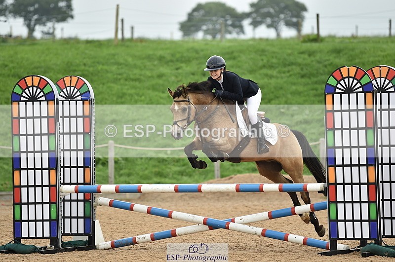 230902A-113600-00766 - Cls 2B Pony Small 80cm