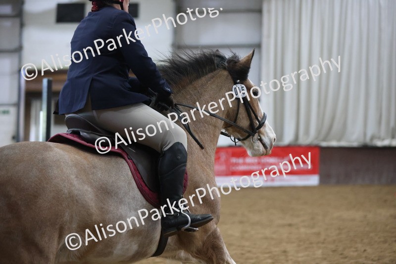 20260314-5533 - 80cm