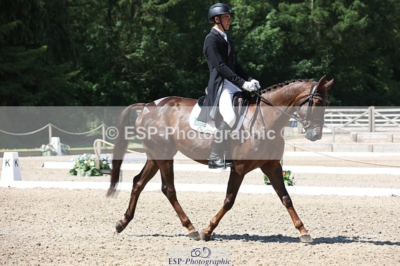 230526-112715-06067 - 153-GAMEBIRD-Max_Warburton-WEDTrotUp+DR