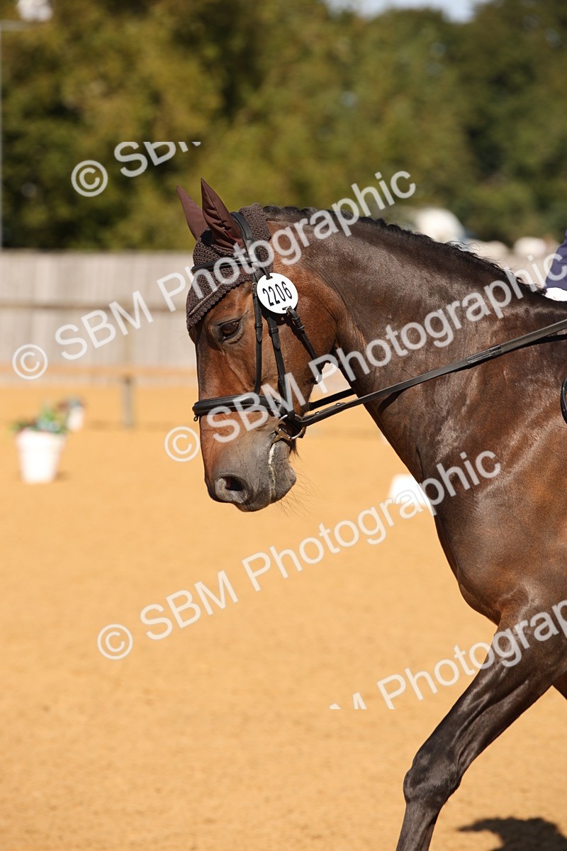 SBM_21616 - D5 - Small Tour Championship - Intro C