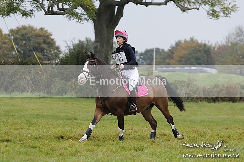 WWHT 181020 WWHT 181020 486 - WWEC Open Novice (0.80m) 18/10/20