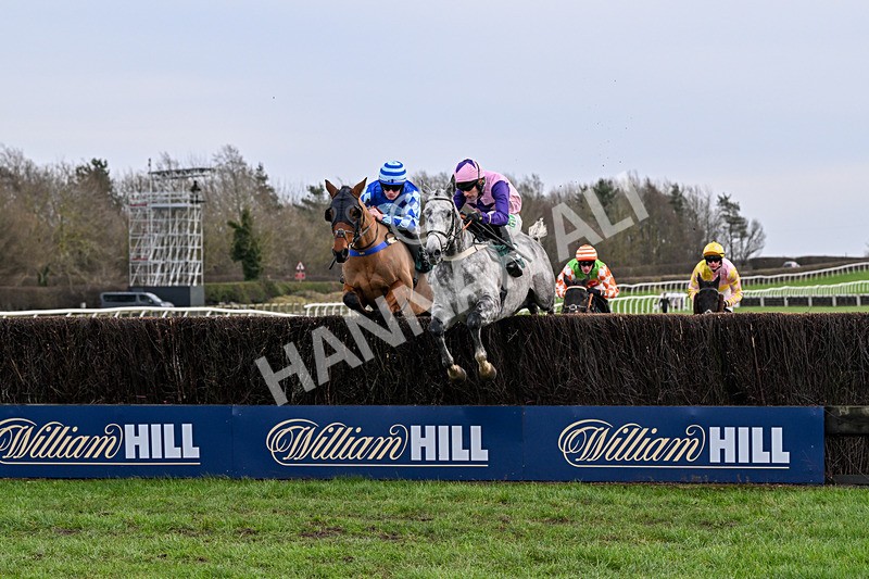 010126-Race 2-El Muchacho-1915 - Race 2