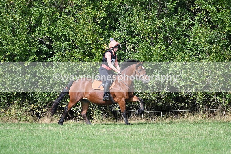 WJ7_9560 - Time 12:12 to 12:40