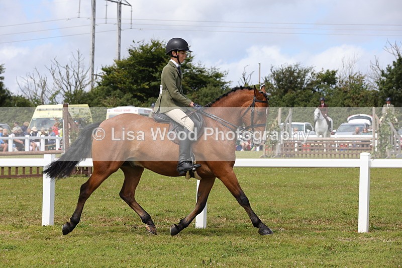 1X9A3947 - Class 32: Show Hunter Pony 153cm and under