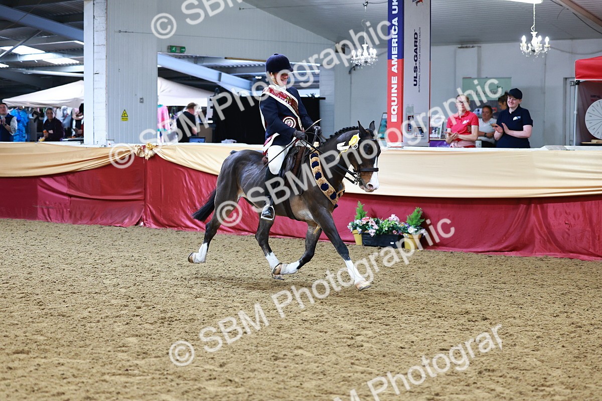 SBM_23559 - Class 904 - Supreme Final - Ridden Diamond