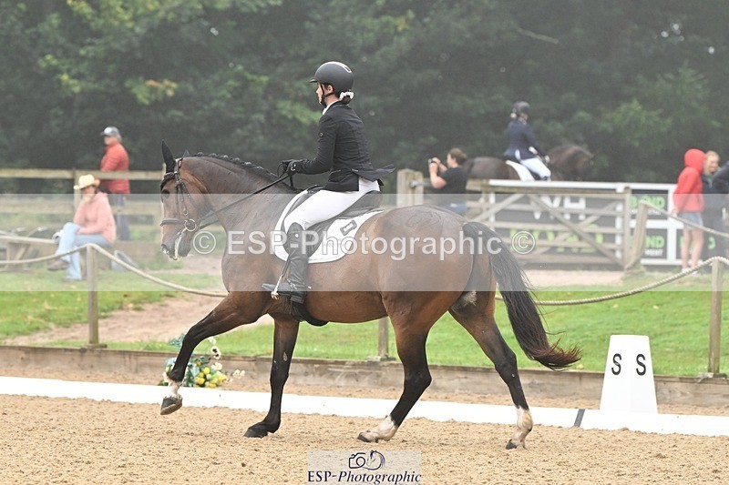 240811-094141-04845 - 119-Alice.Kneen-Dazzling.Springtime