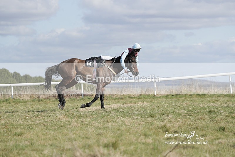 PtP 260223 481 - South & West Wilts Point-to-Point Larkhill 26/02/23