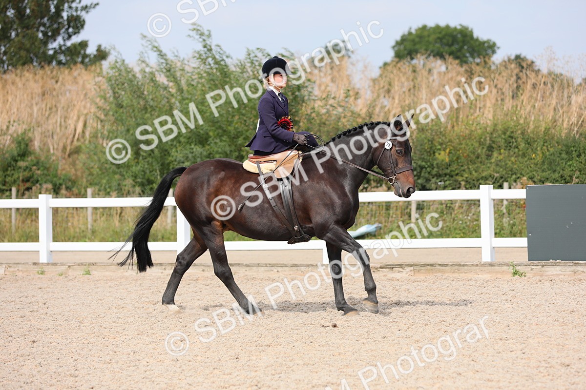 SBM_14641 - Class 211 Best Side Saddle Horse/Pony