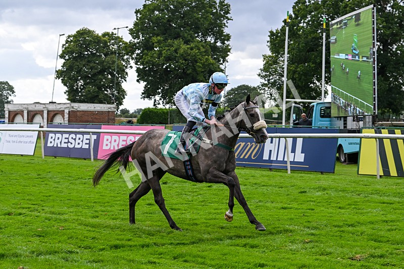 090824-Race 6-Calafrio-4855 - Race 6