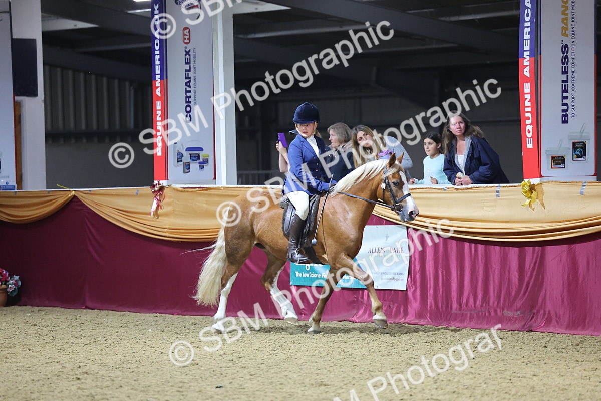 0B8A4589 - Class Q Style & Performance Champ