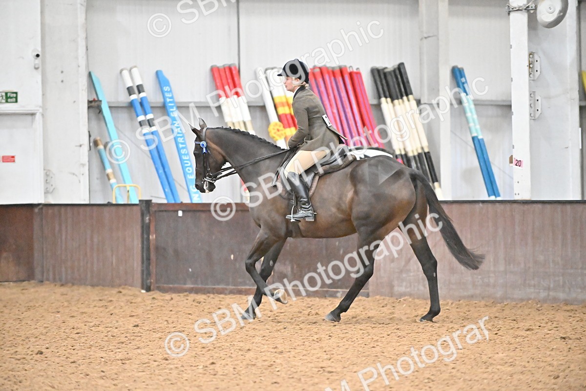 SBM_002385 - Class 22 - BSHA Ridden Hack & Riding Horse