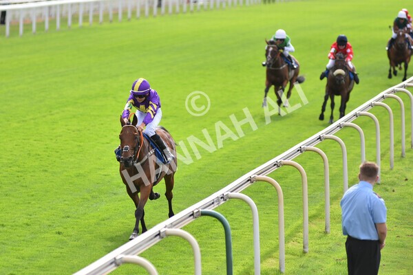 yr04092022p2-51 - 12.50pm. 148cm Open Pony Race