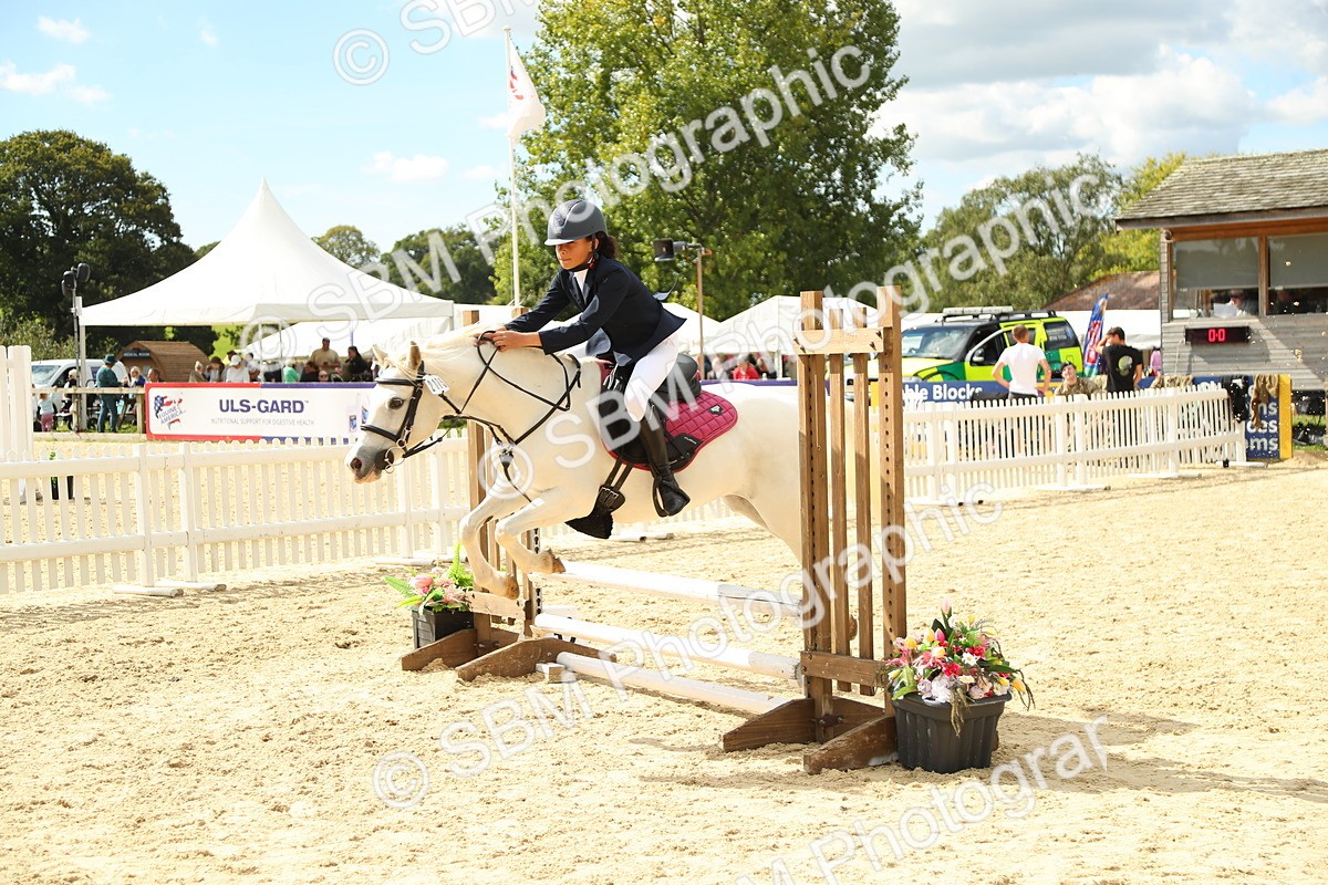 SBM_41349 - J6 - Junior Pony 55cm Championships