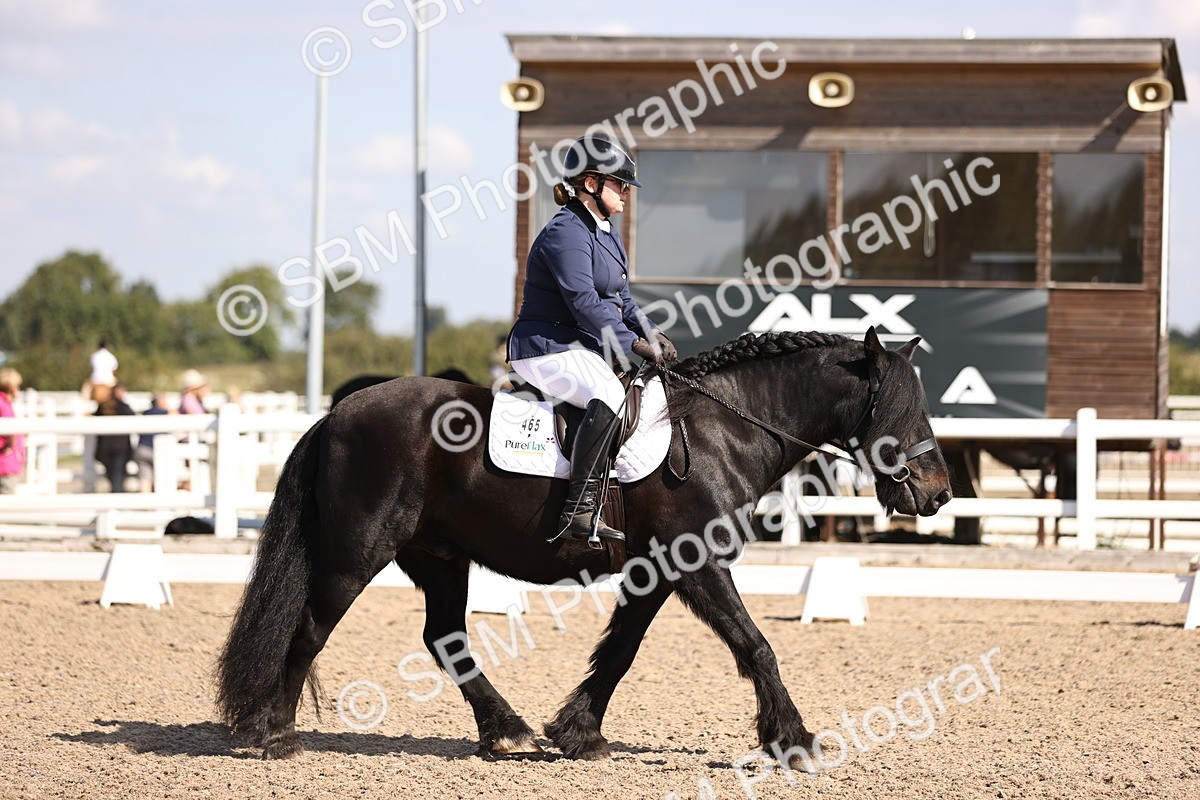 SBM_03529 - CLass 35 Intro 3