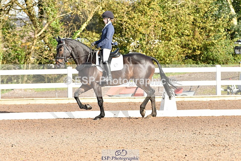 231104A-103311-00099 - Cls 4 Novice 22