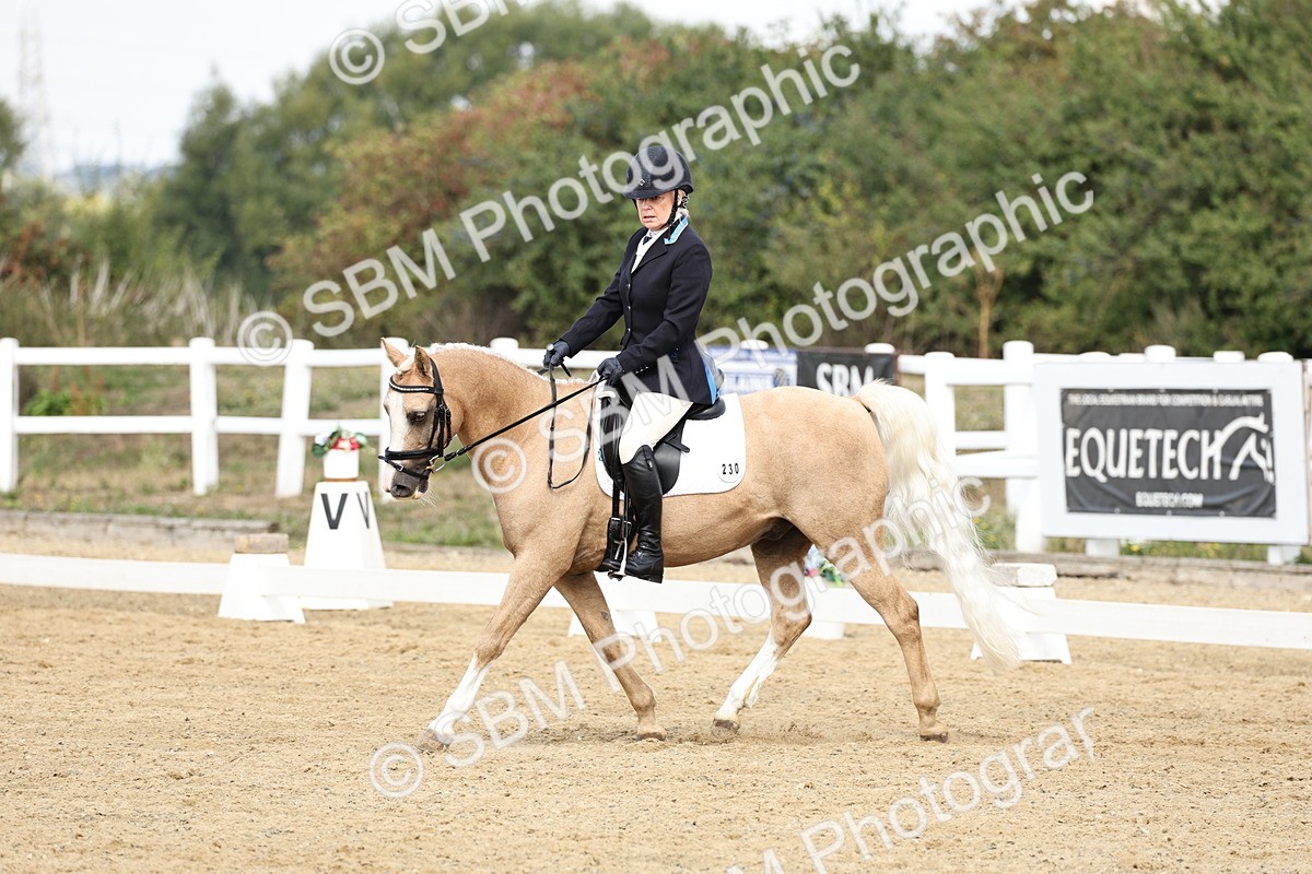 SBM_018200 - Class 16 - Novice 5 - 11.12-12.01