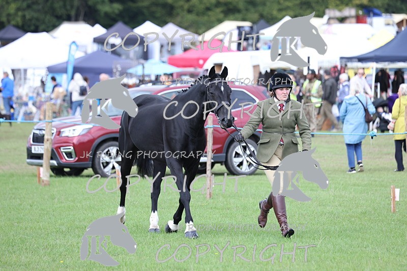 APP_2617 - Class 9 Veterans in hand