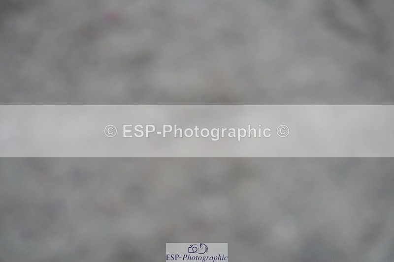 231017A-144208-07422 - Cls 29 Snr Foxhunter