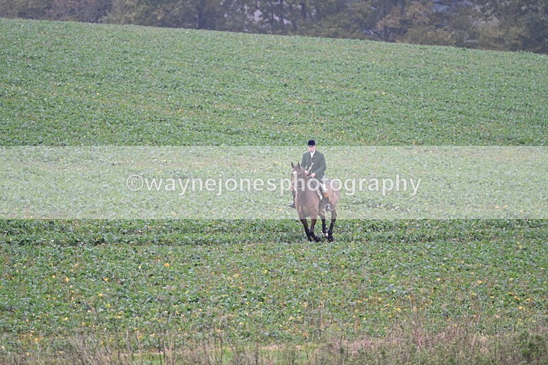 WJ7_8883 - Camera 1 only on this line