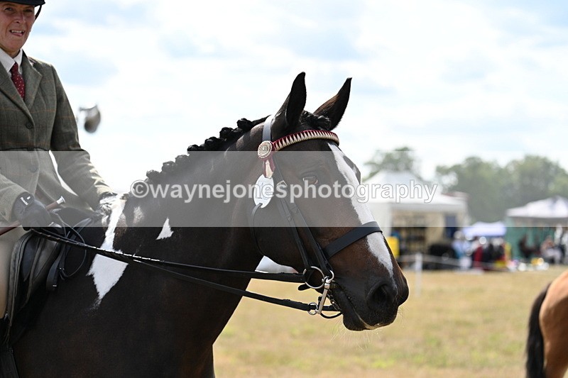 WJ7_6174 - Class 13 Ridden Veterans