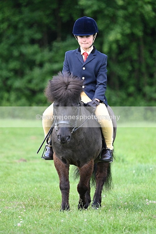 WJ7_1029 - Class 11 Condition & Turnout
