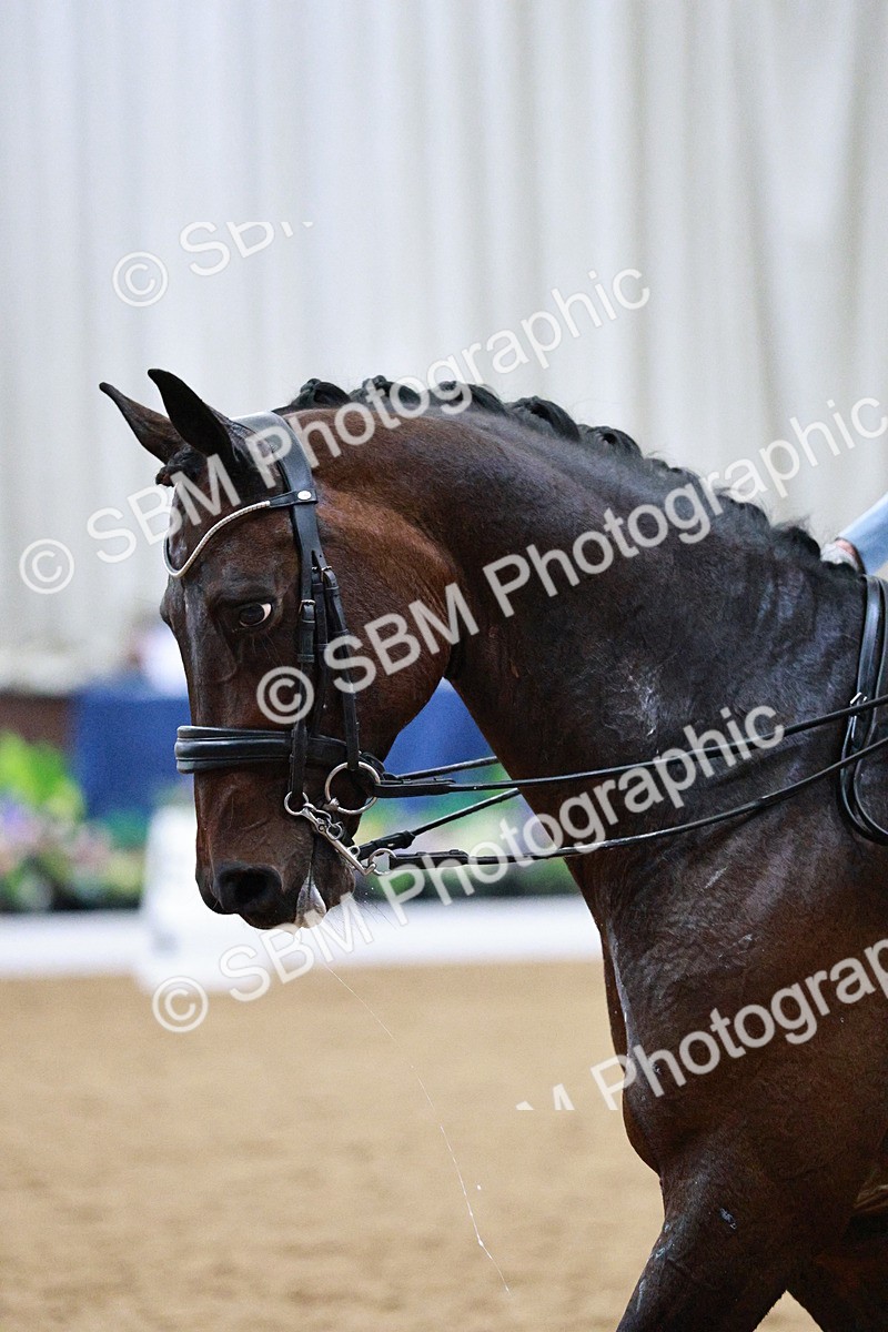 SBM_020746 - Class 13 - FEI INT I - 15.30-16.00