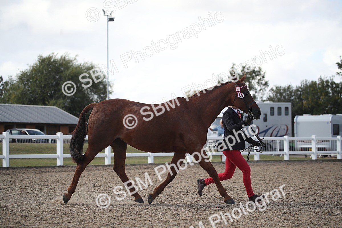 SBM_23118 - Class 606 - 2026 - Area - IH Pre Vet