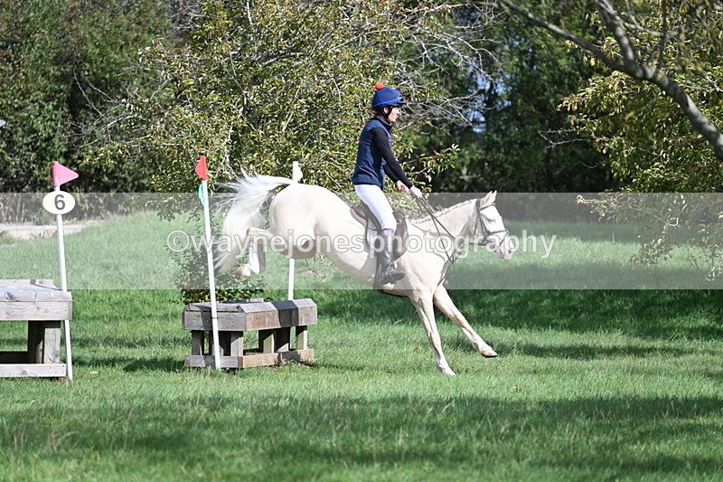 WJ7_8568 - 60cm Pairs