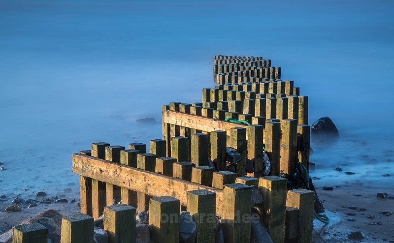 Into the Blue - Sea of Man