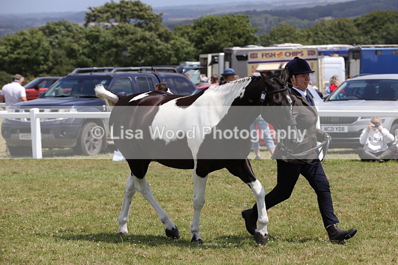 1X9A4818 - Class 35: Veteran In Hand