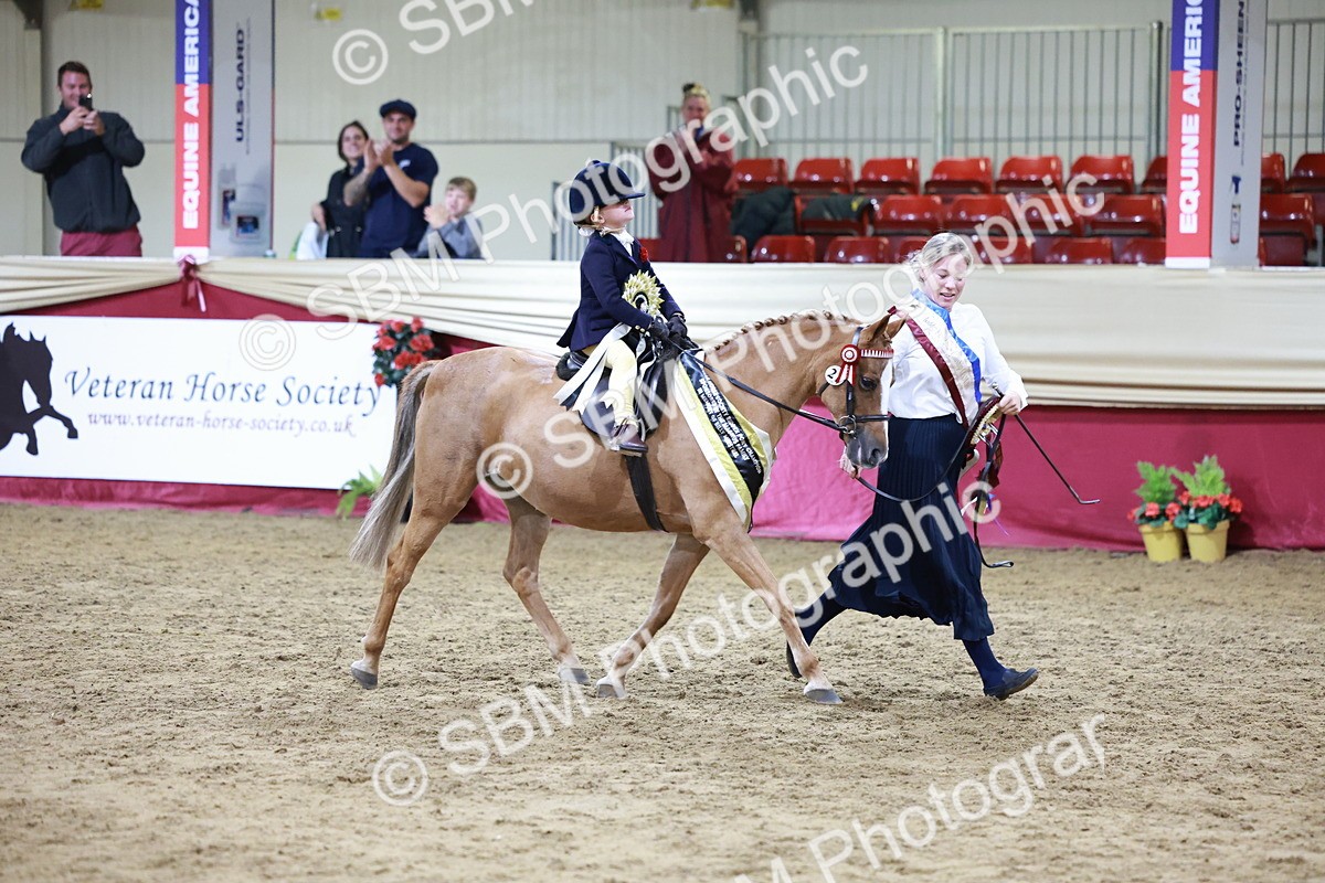 SBM_20603 - Class H - IH Competition - Riding Club champ