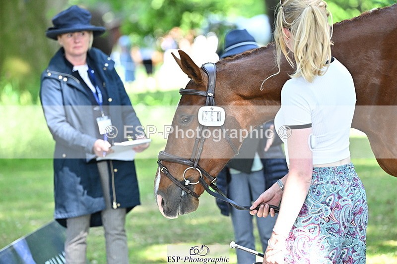 250521A-161159-00978 - C-260-Georgie.Frow-RIVERSTOWN.ROYAL