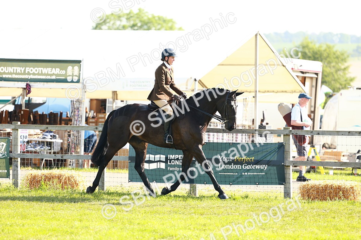 SBM_10879 - Class 66-69 - RIHS Ridden Hunters Inc Small Hunter
