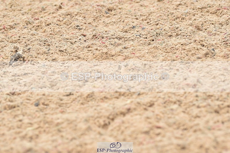 230720A-122812-02555 - Cls 13, 1 Star Bronze 1.10m