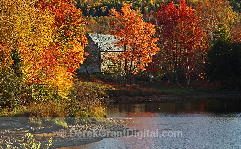 Old Barn in Autumn New Brunswick Canada - Autumn Festival